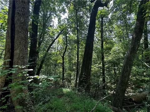 00 Bull Gap Rd E, Jasper, GA 30143 photo 7