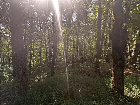 00 Bull Gap Rd E, Jasper, GA 30143 photo 6