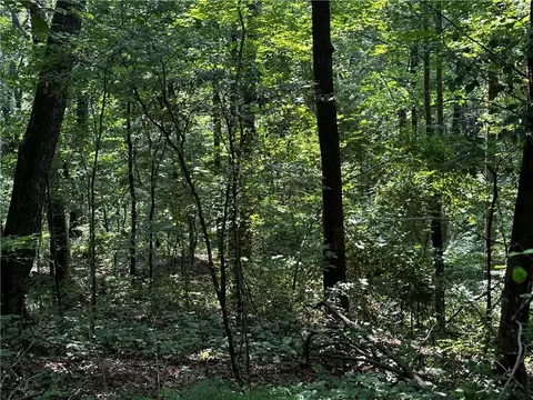 00 Bull Gap Rd E, Jasper, GA 30143 photo 10