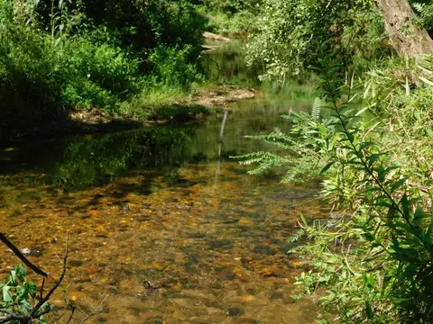 000 Woodland Lane Tract 3, Dahlonega, GA 30533
