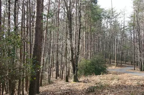 1211 Oglethorpe Mountain Ct, Jasper, GA 30143 photo 3