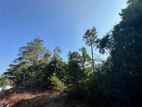0 Heads Ferry Rd, Cornelia, GA 30531 photo 3
