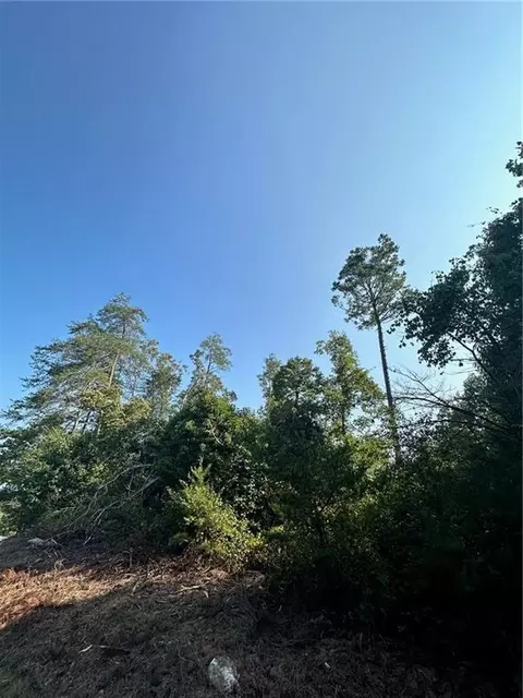 0 Heads Ferry Rd, Cornelia, GA 30531 photo 2