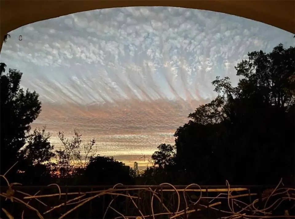  1264 Park Vista Dr NE, Atlanta, GA 30319 photo 3