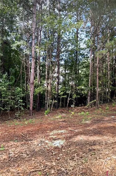 405 Harvest Ct, Locust Grove, GA 30248