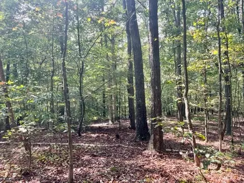 3011 Mount Pisgah, Talking Rock, GA 30175