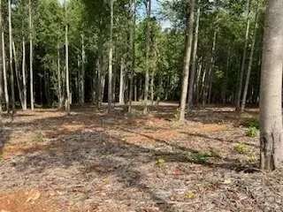 Lt21 Bravo Way, Talking Rock, GA 30175