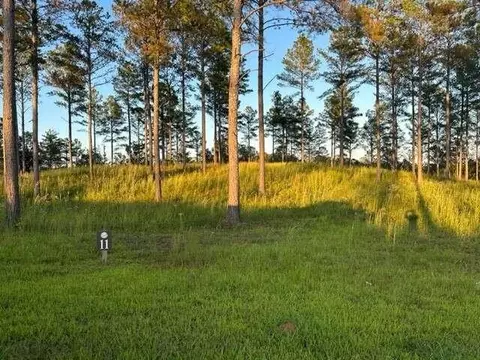1362 High River Rd, Ellijay, GA 30540