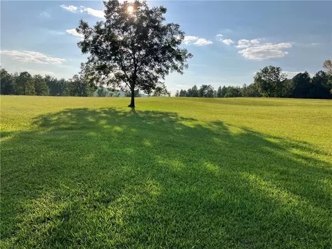 382 Grant Rd, Brooks, GA 30205 photo 61