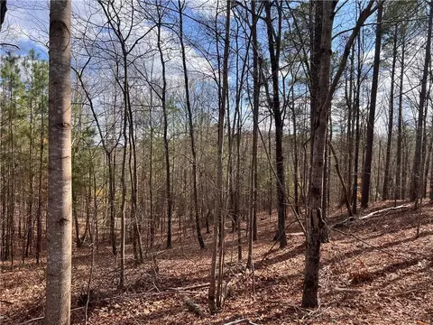 APT 25 Camp Branch Road, Ellijay, GA 30540
