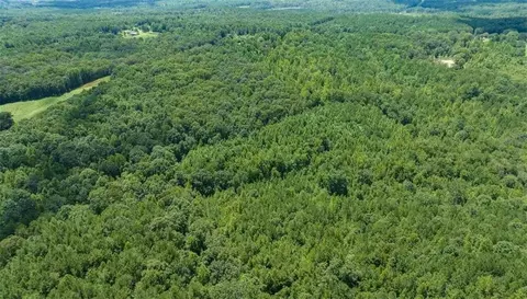 7073 Smithfield Rd, Bowdon, GA 30108 photo 8
