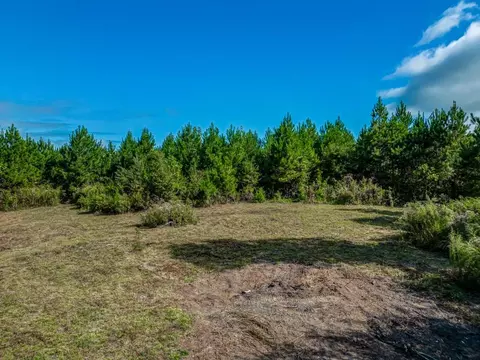 338 Old Jarrett Rd, Toccoa, GA 30577
