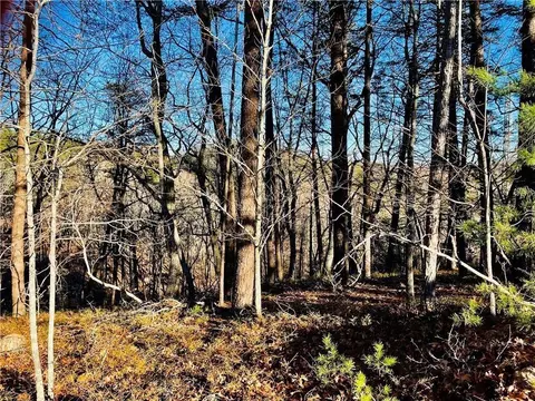 2324 Crown Mountain Way, Dahlonega, GA 30533