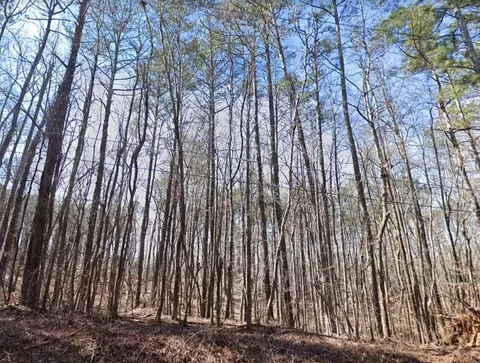 0 Simon Rd, Douglasville, GA 30135
