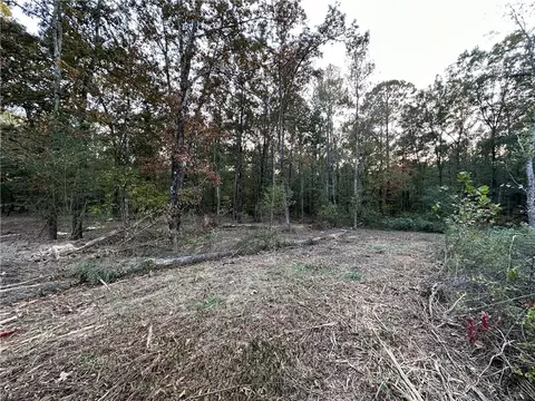 7635 Blacks Bluff Rd SW, Cave Spring, GA 30124 photo 9