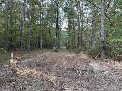7635 Blacks Bluff Rd SW, Cave Spring, GA 30124 photo 12