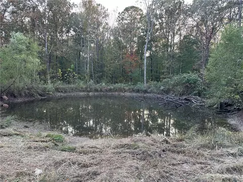 7635 Blacks Bluff Rd SW, Cave Spring, GA 30124 photo 6