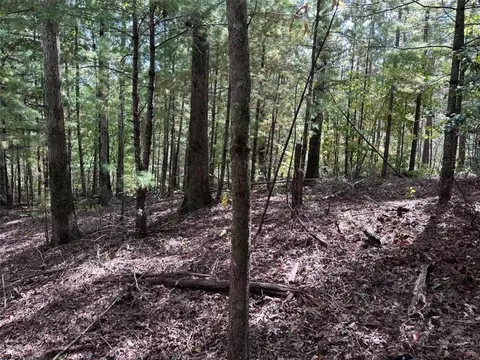 37 Mtn Creek Hollow Dr, Talking Rock, GA 30175