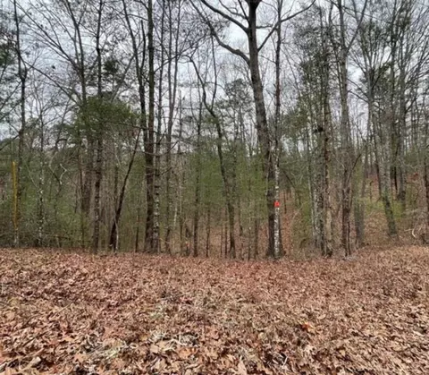 0 Amelia Dr, Ellijay, GA 30540