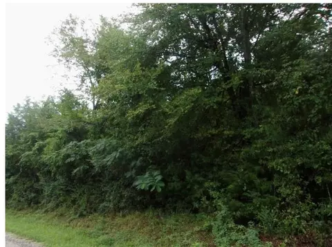 0 Sandy Creek Rd, Flovilla, GA 30216