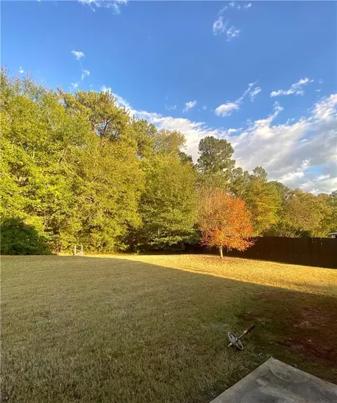 169 Christopher Michael Ln, Hampton, GA 30228 photo 2