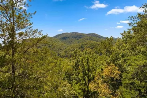2 24 Acres Martin Xing, Cherry Log, GA 30522