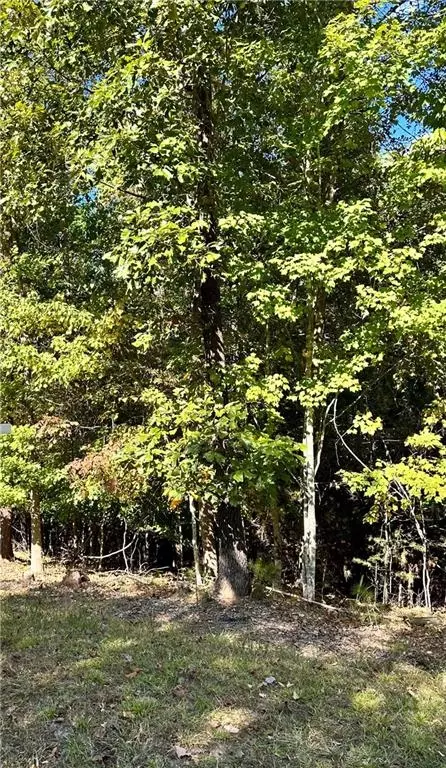 3658 Davis Bridge Rd, Gainesville, GA 30506