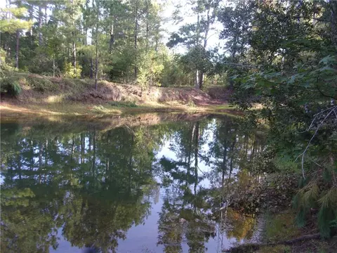 115 Stone Valley Ln, Davisboro, GA 31018