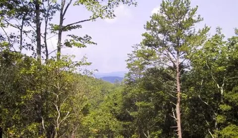 64 Trotters Rdg, Sautee Nacoochee, GA 30571