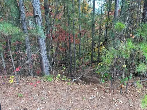 431 Spring Lake Hls, White, GA 30184