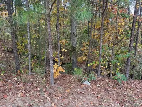 148 Spring Lake Trl, White, GA 30184