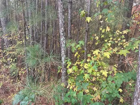 126 Spring Lake Trl, White, GA 30184