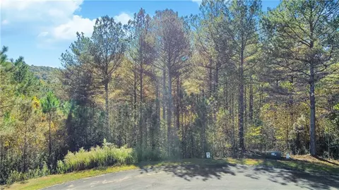 10 Eastview Trl, Ellijay, GA 30536