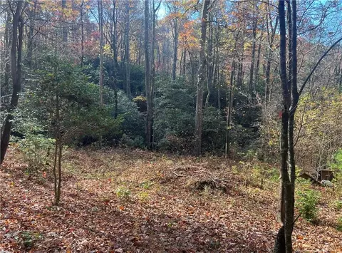 446 Bucktown Trl, Ellijay, GA 30536