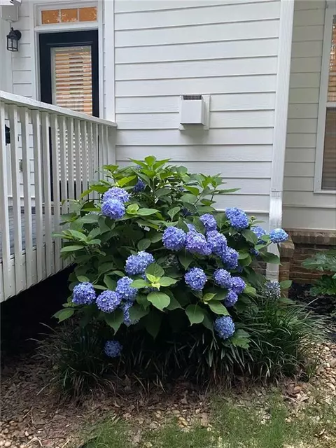 10115 Azalea Ct, Covington, GA 30014 photo 12