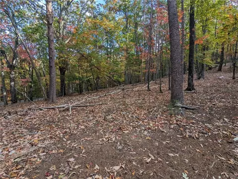 0 Oglethorpe Mountain Rd, Jasper, GA 30143 photo 4