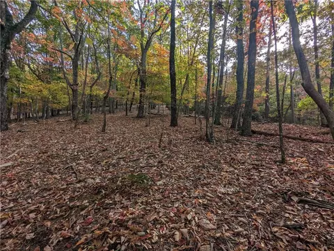 0 Oglethorpe Mountain Rd, Jasper, GA 30143 photo 3