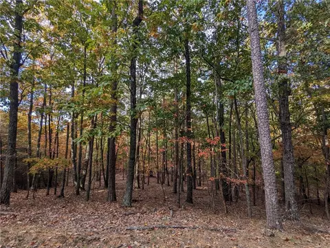 0 Oglethorpe Mountain Rd, Jasper, GA 30143 photo 2