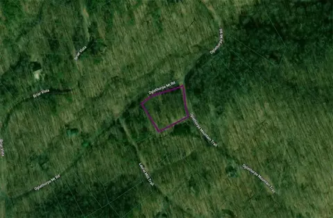 0 Oglethorpe Mountain Rd, Jasper, GA 30143 photo 5