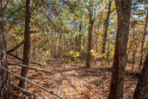 9 Outback Ridge Trail, Jasper, GA 30143 photo 6