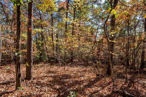 9 Outback Ridge Trail, Jasper, GA 30143 photo 8