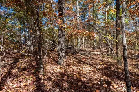 9 Outback Ridge Trail, Jasper, GA 30143 photo 10