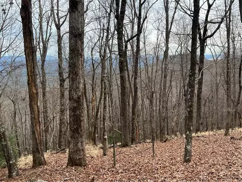 466 Sanderlin Mountain Dr, Big Canoe, GA 30143