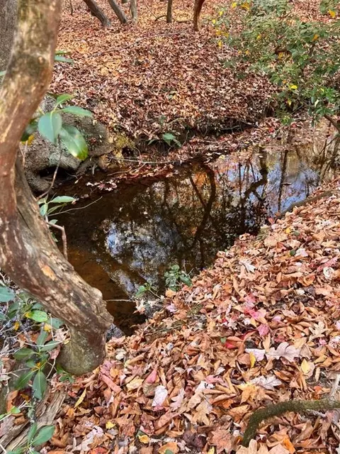 00 Porter Springs Rd, Dahlonega, GA 30533