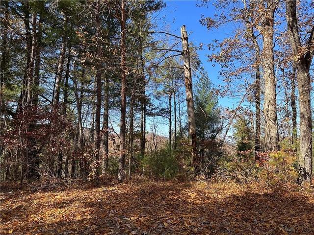 1689 Shade Tree Dr, Ranger, GA 30734