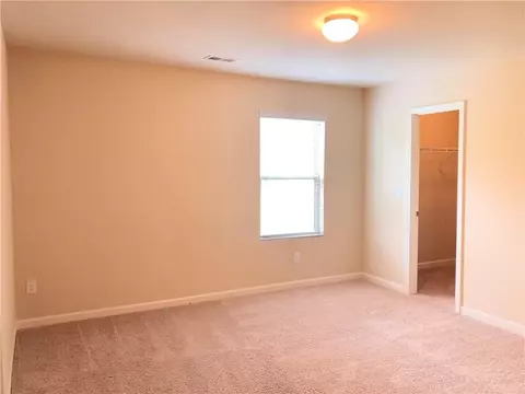 1196 Vienna Ct, Hampton, GA 30228 photo 13