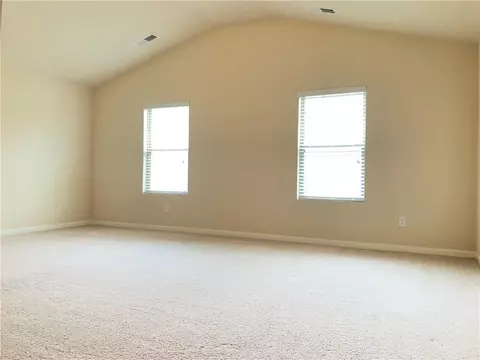 1196 Vienna Ct, Hampton, GA 30228 photo 9