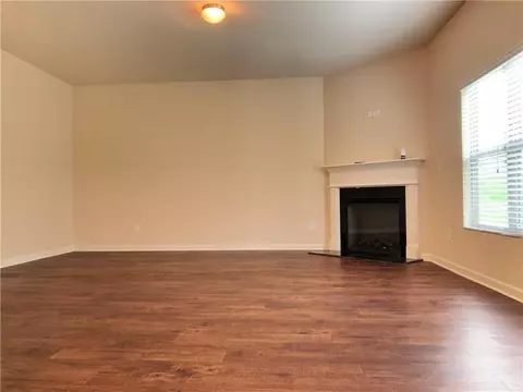 1196 Vienna Ct, Hampton, GA 30228 photo 3