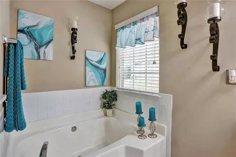 1159 Paris Dr, Hampton, GA 30228 photo 24