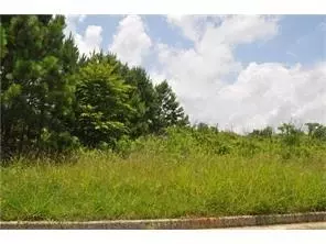 298 Randall Dr, Rockmart, GA 30153